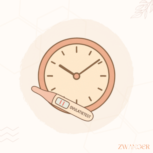 Hoe laat kun je het beste een ovulatietest doen