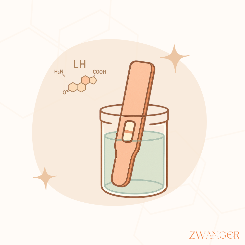 Hoe werkt een ovulatietest