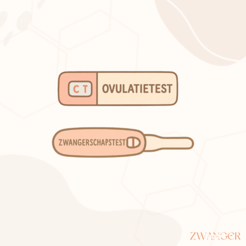 Hoeveel dagen na een positieve ovulatietest kun je testen op zwangerschap