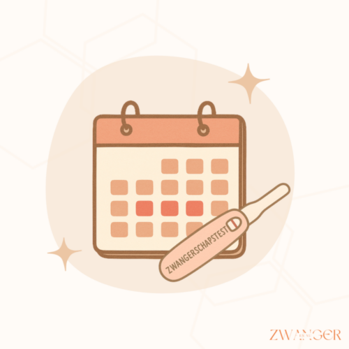 Hoeveel dagen na je ovulatie kun je een zwangerschapstest doen