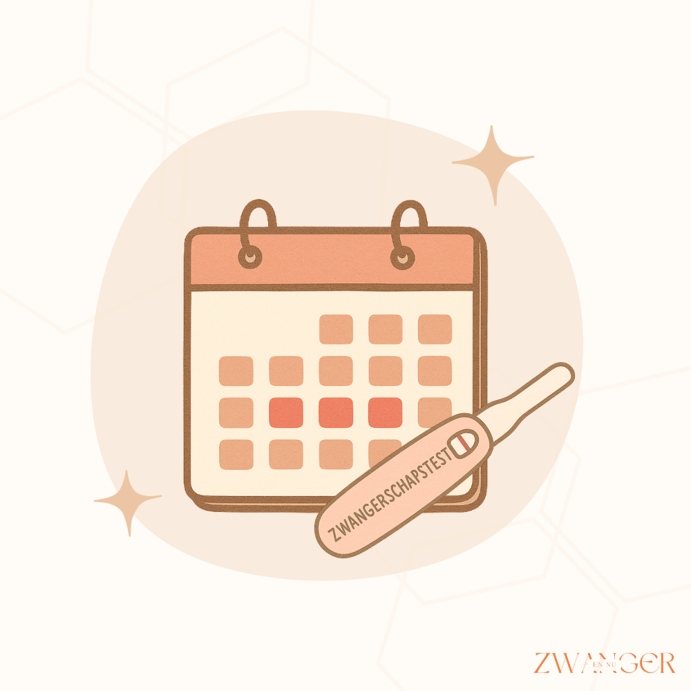 Hoeveel dagen na je ovulatie kun je een zwangerschapstest doen