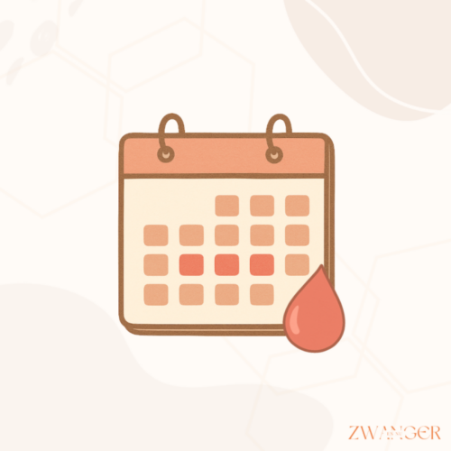 Hoeveel dagen na je ovulatie word je ongesteld