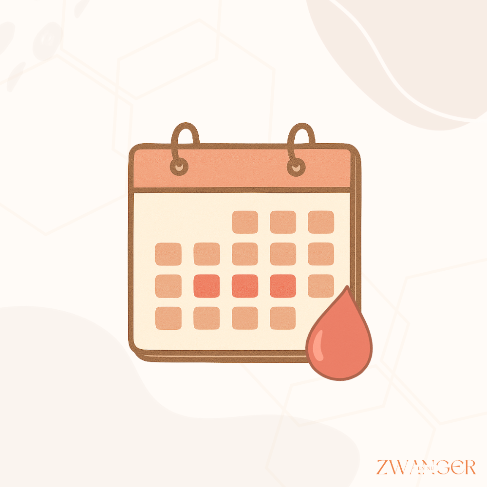 Hoeveel dagen na je ovulatie word je ongesteld