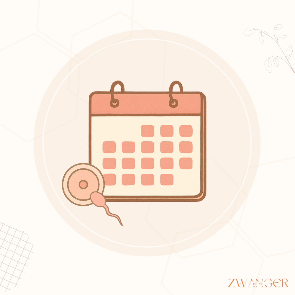 Hoeveel dagen vóór de ovulatie ben je vruchtbaar