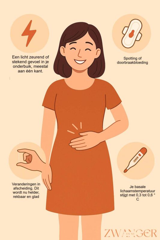 Symptomen ovulatie ml