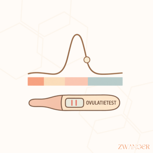 Wanneer is een ovulatietest positief