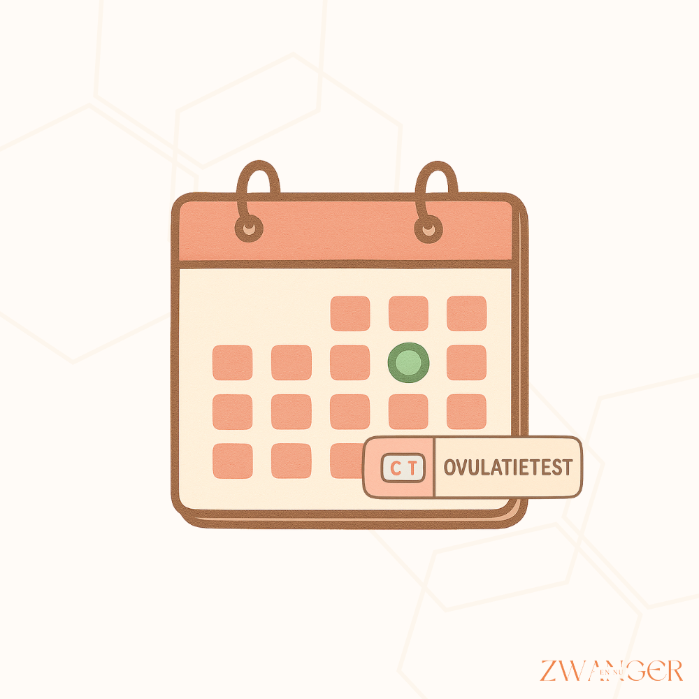 Wanneer moet je een ovulatietest doen