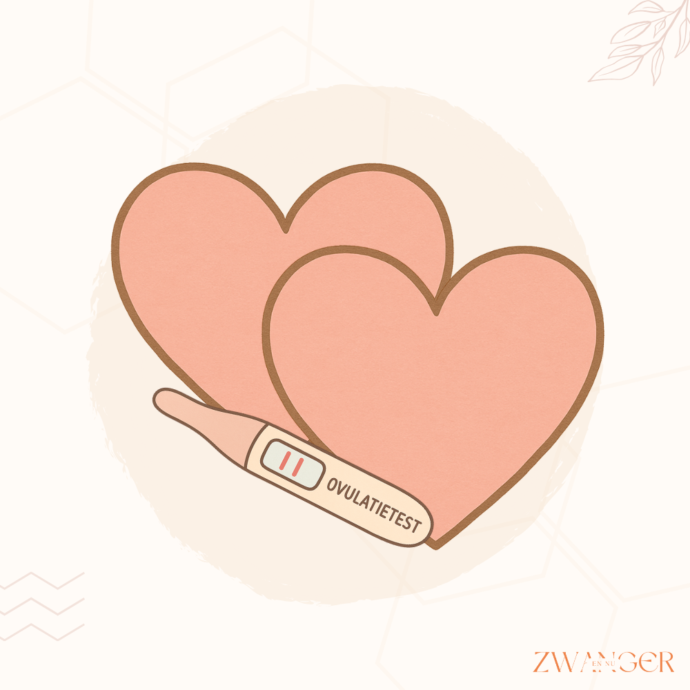 Wanneer moet je vrijen na een positieve ovulatietest