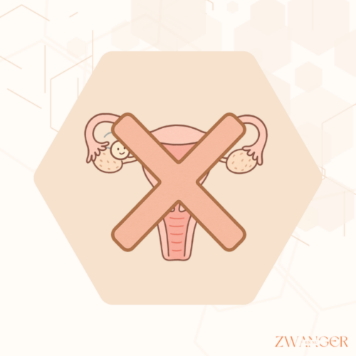 Wat als je geen ovulatie hebt