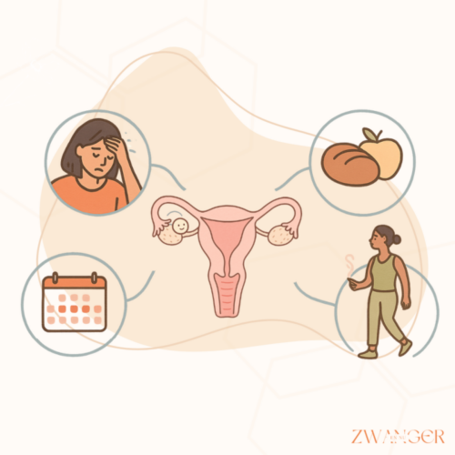 Wat beïnvloedt je ovulatie