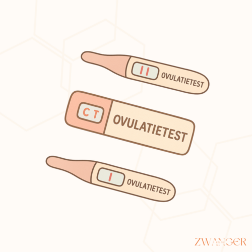 Wat is een ovulatietest