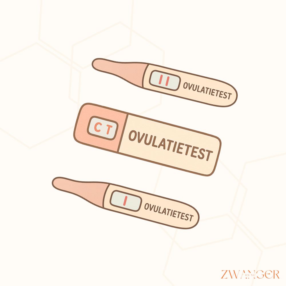 Wat is een ovulatietest